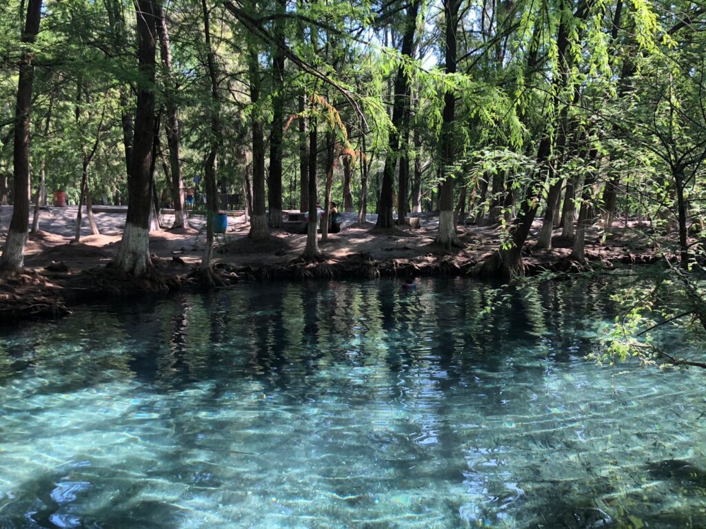 Agua cristalina en la Laguna de la Media Luna, Río Verde, Slp.